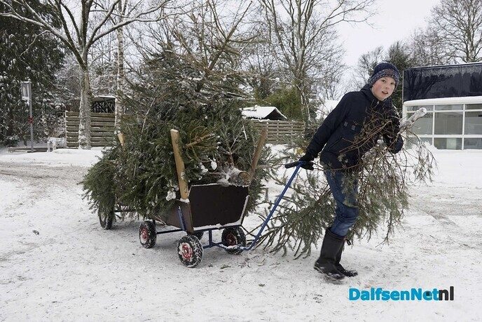 Inleveren kerstbomen - Foto: Paul Scholten