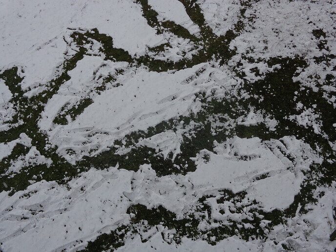 Sneeuwlandschap - Foto: Ingezonden foto