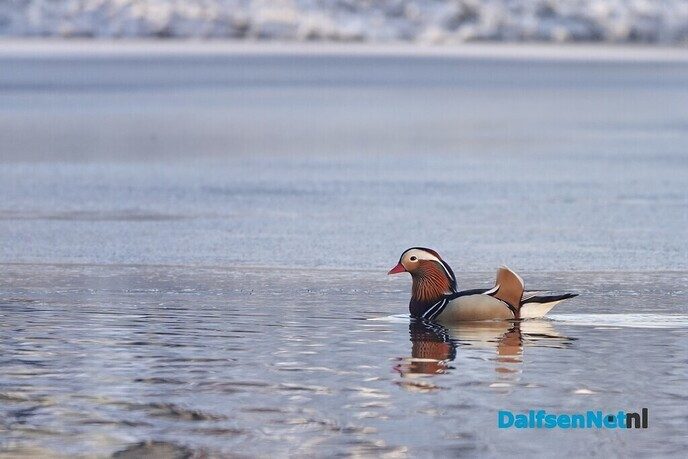 Foto’s sneeuw: Dag 4 donderdag en Map 1 - Foto: Ingezonden foto