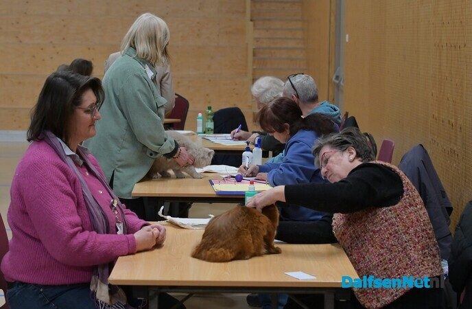 Bezoekers genieten van katten van wereldklasse in de Trefkoele+ - Foto: Johan Bokma