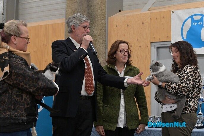 Bezoekers genieten van katten van wereldklasse in de Trefkoele+ - Foto: Johan Bokma