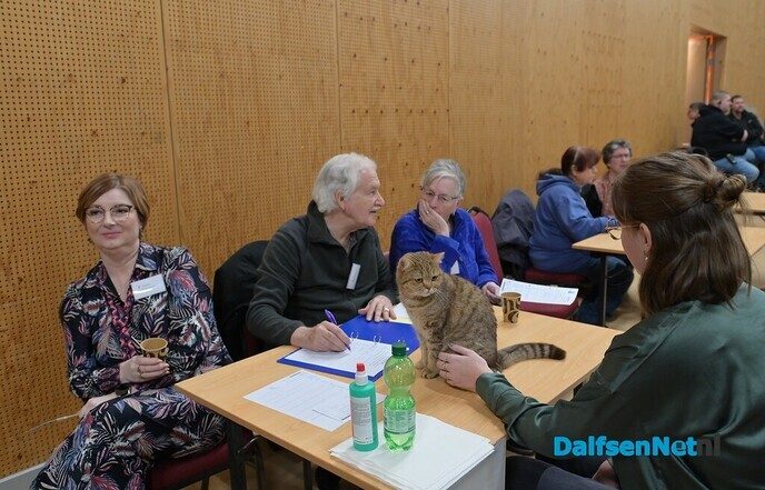 Bezoekers genieten van katten van wereldklasse in de Trefkoele+ - Foto: Johan Bokma