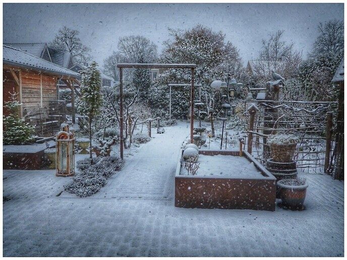 Mooie wintervariatie uit eigen tuin - Foto: Femmie Smink