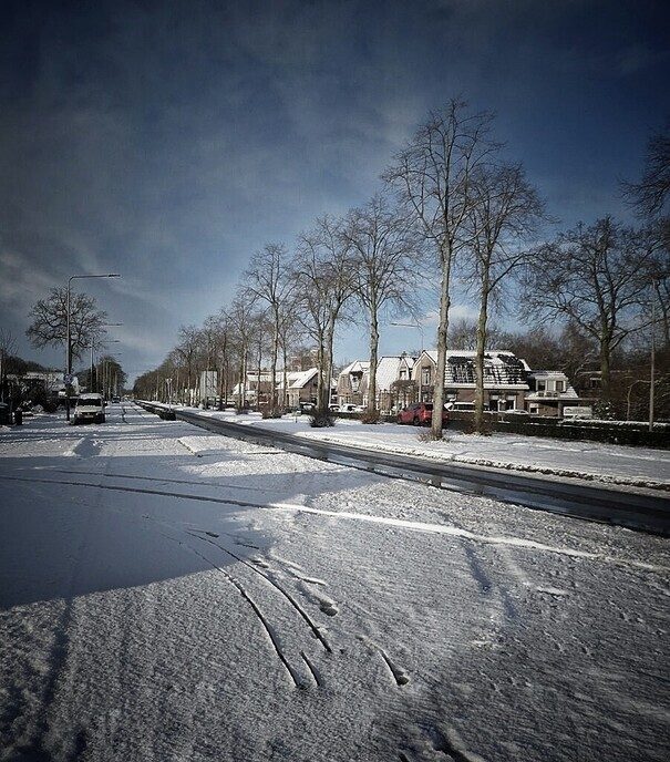 Even Hulsterplasje doen - Foto: Femmie Smink