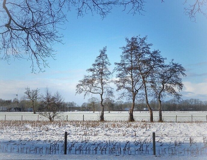 Even Hulsterplasje doen - Foto: Femmie Smink