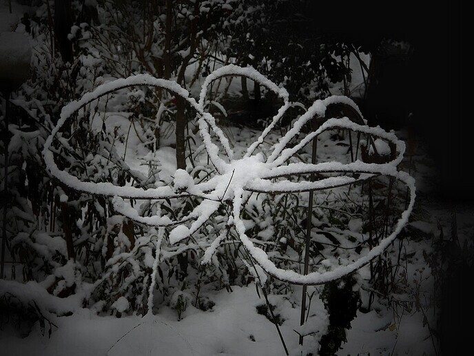 Sfeer- winterfoto’s Femmie - Foto: Femmie Smink