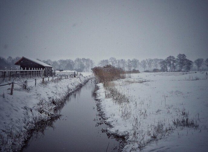 Onze sneeuwfotograaf geniet volop - Foto: Femmie Smink