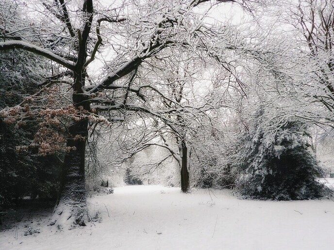 Onze sneeuwfotograaf geniet volop - Foto: Femmie Smink
