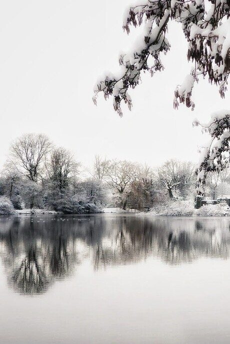 Onze sneeuwfotograaf geniet volop - Foto: Femmie Smink