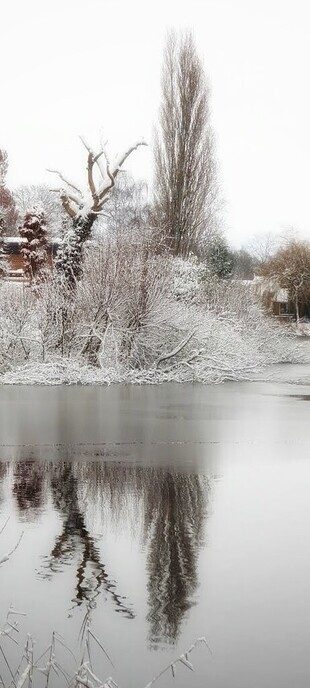 Onze sneeuwfotograaf geniet volop - Foto: Femmie Smink