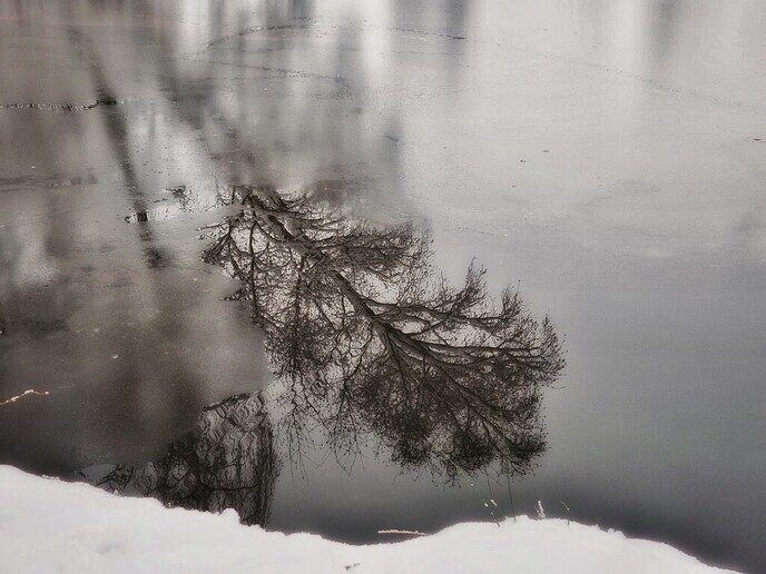 Onze sneeuwfotograaf geniet volop - Foto: Femmie Smink