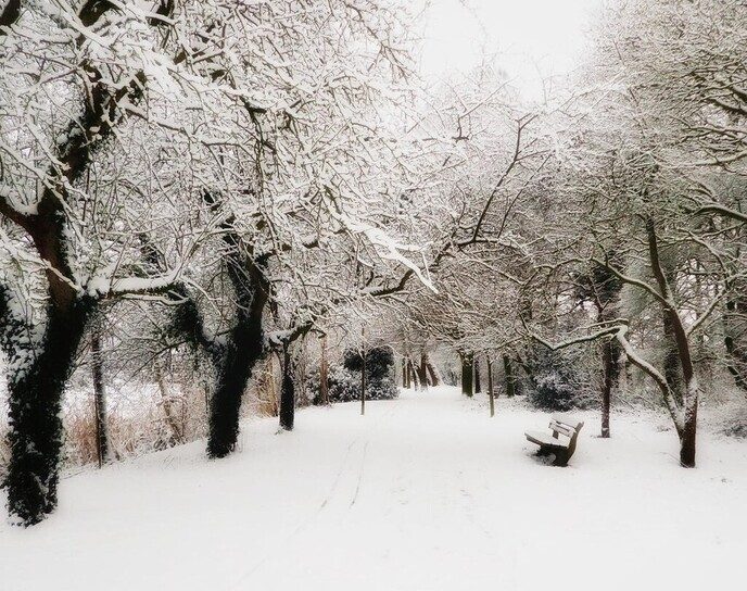 Onze sneeuwfotograaf geniet volop - Foto: Femmie Smink