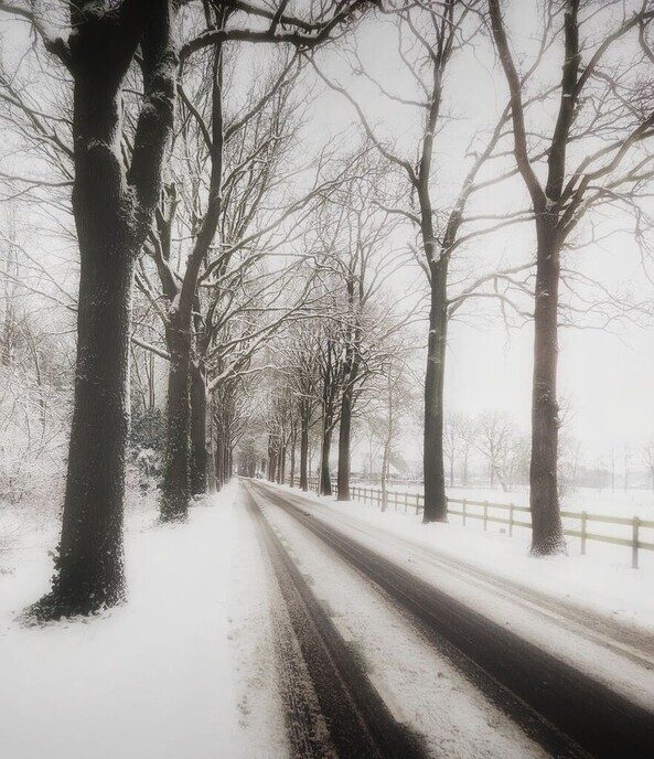 Onze sneeuwfotograaf geniet volop - Foto: Femmie Smink