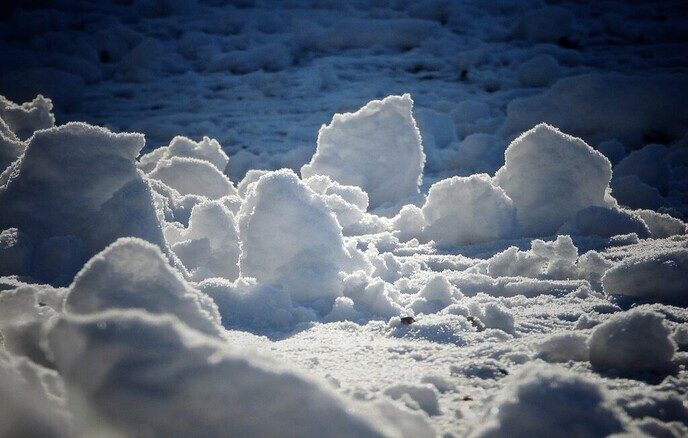 Femmie is nog niet ingesneeuwd - Foto: Femmie Smink