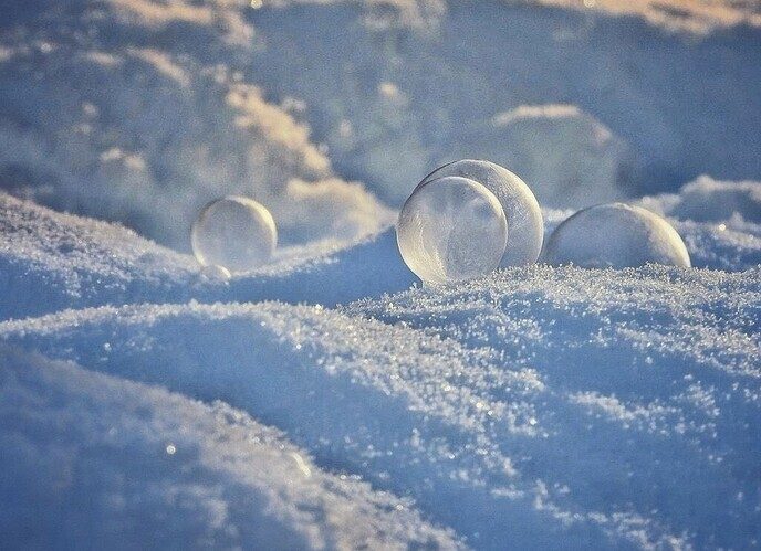 Femmie is nog niet ingesneeuwd - Foto: Femmie Smink