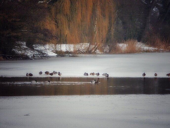 Dure bril kwijt: Hulsterplas - Foto: Femmie Smink