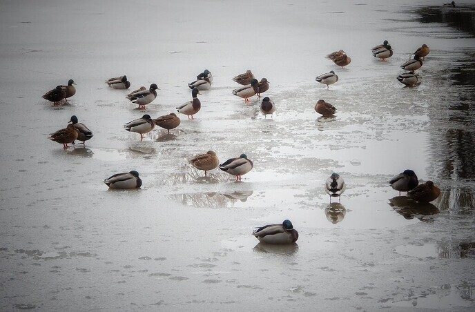 Dure bril kwijt: Hulsterplas - Foto: Femmie Smink