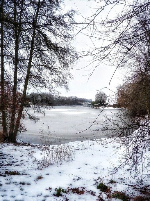 Dure bril kwijt: Hulsterplas - Foto: Femmie Smink