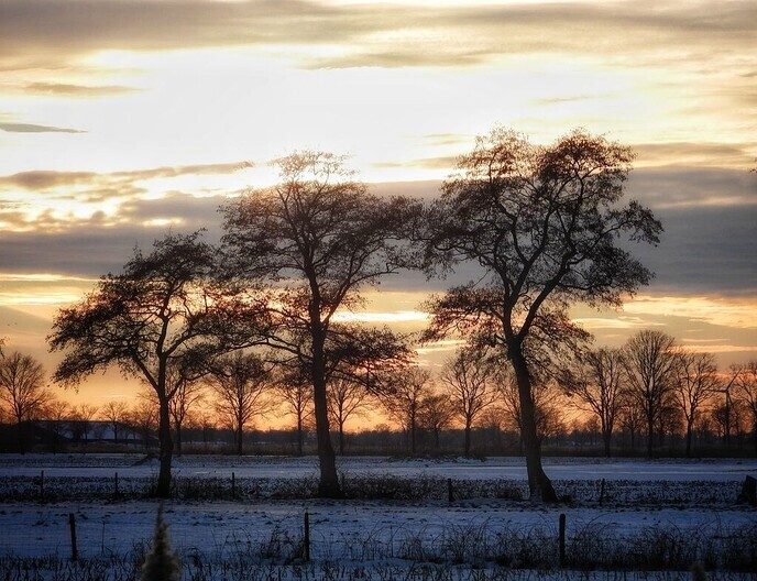 Matige zuidoostenwind en mooie foto’s uit Noord - Foto: Femmie Smink