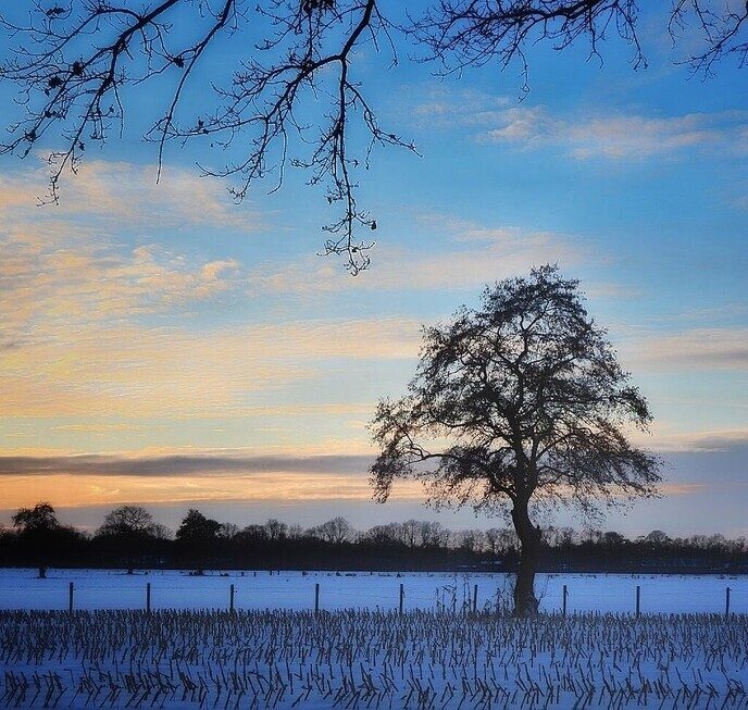 Matige zuidoostenwind en mooie foto’s uit Noord - Foto: Femmie Smink