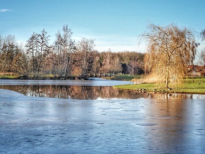 Eenden kunnen niet schaatsen - Foto: Femmie Smink