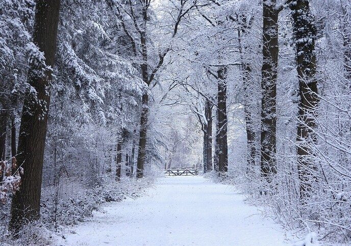 Prachtig: de sneeuwfoto’s (map1 dag 1) foto’s hagelen binnen (update) - Foto: Ingezonden foto