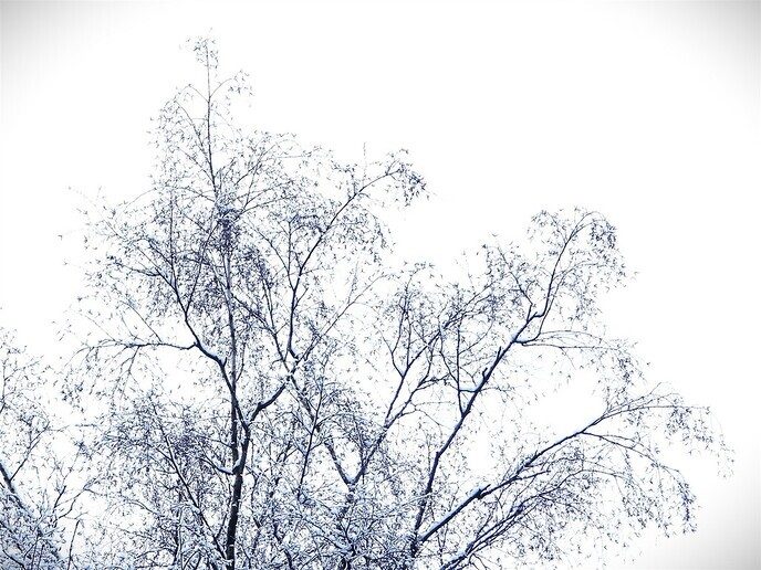 Prachtig: de sneeuwfoto’s (map1 dag 1) foto’s hagelen binnen (update) - Foto: Ingezonden foto