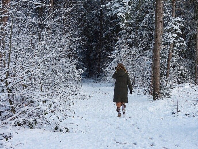Prachtig: de sneeuwfoto’s (map1 dag 1) foto’s hagelen binnen (update) - Foto: Ingezonden foto
