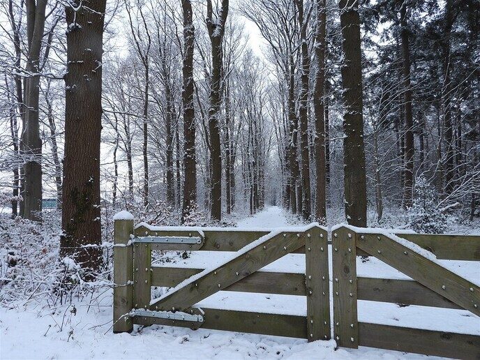 Prachtig: de sneeuwfoto’s (map1 dag 1) foto’s hagelen binnen (update) - Foto: Ingezonden foto