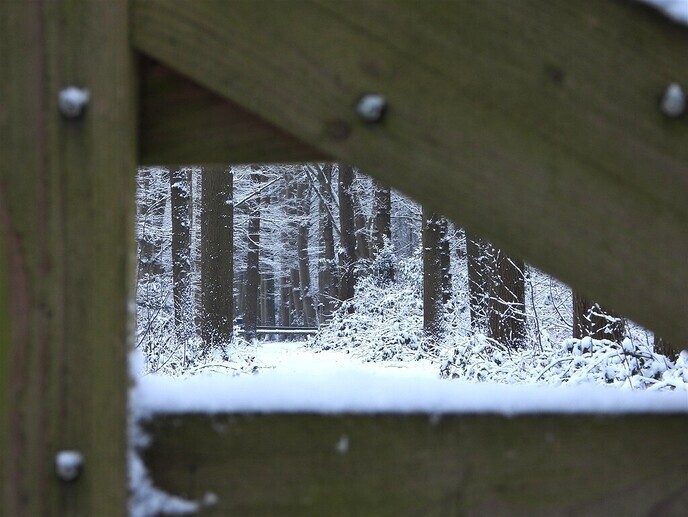 Prachtig: de sneeuwfoto’s (map1 dag 1) foto’s hagelen binnen (update) - Foto: Ingezonden foto