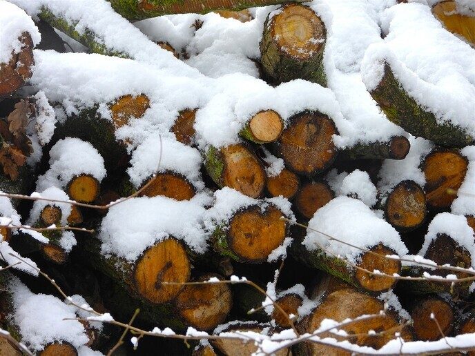 Prachtig: de sneeuwfoto’s (map1 dag 1) foto’s hagelen binnen (update) - Foto: Ingezonden foto