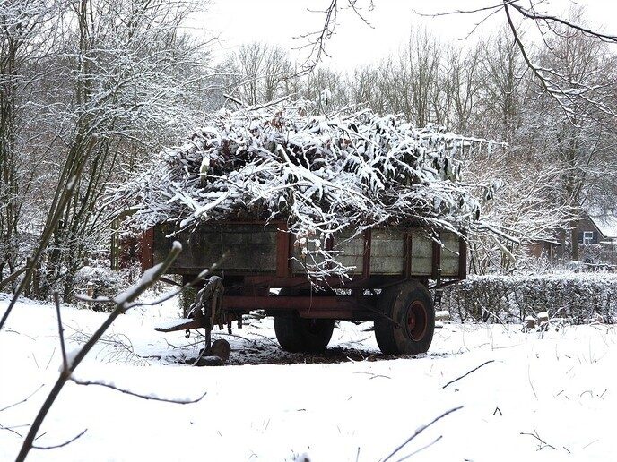 Prachtig: de sneeuwfoto’s (map1 dag 1) foto’s hagelen binnen (update) - Foto: Ingezonden foto