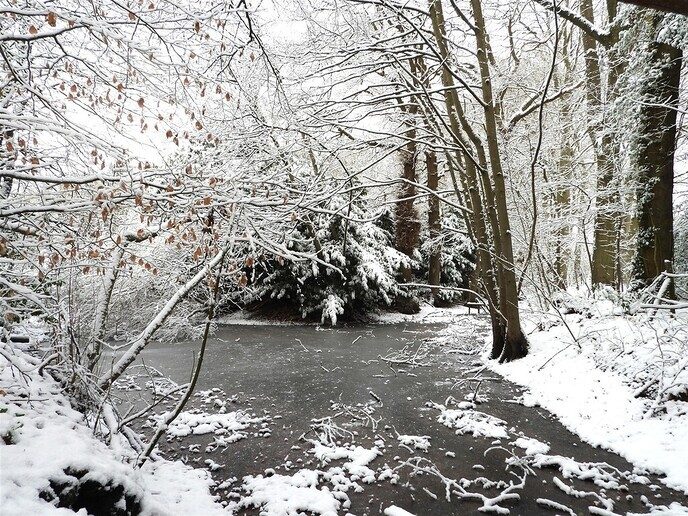 Prachtig: de sneeuwfoto’s (map1 dag 1) foto’s hagelen binnen (update) - Foto: Ingezonden foto