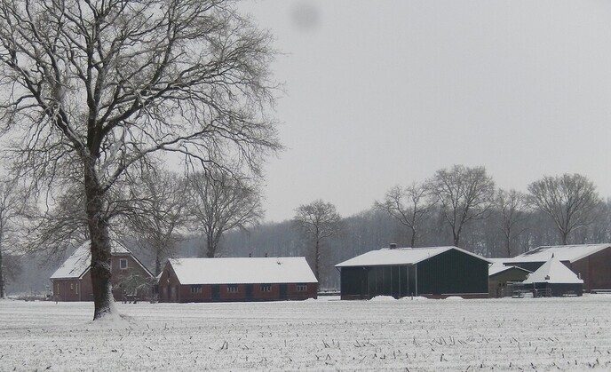 Foto’s sneeuw Dag 2 dinsdag en Map 2 - Foto: Ingezonden foto