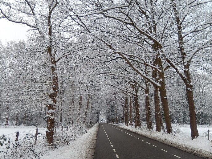 Foto’s sneeuw Dag 2 dinsdag en Map 2 - Foto: Ingezonden foto