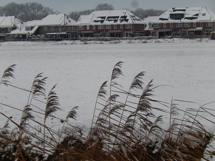 Foto’s sneeuw Dag 2 dinsdag en Map 2 - Foto: Ingezonden foto