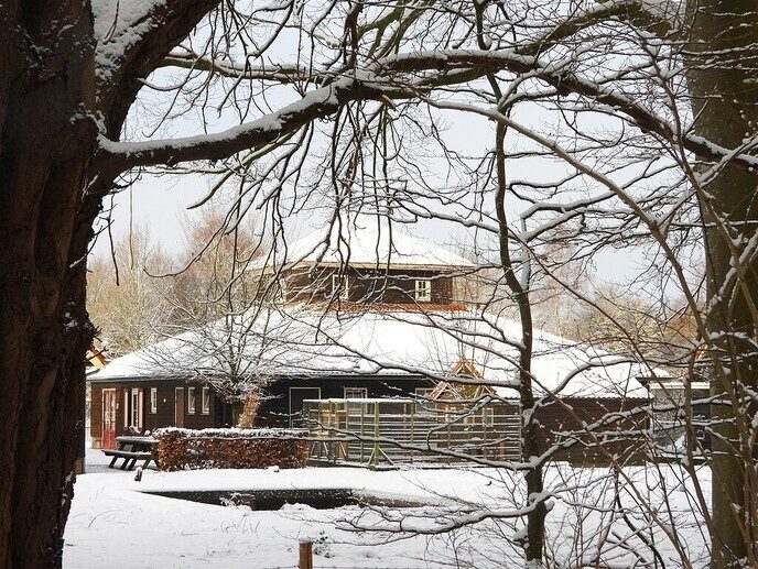 Prachtig: de sneeuwfoto’s (map1 dag 1) foto’s hagelen binnen (update) - Foto: Ingezonden foto