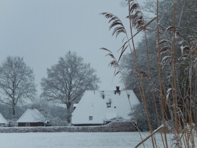 Foto’s sneeuw Dag 2 dinsdag en Map 2 - Foto: Ingezonden foto