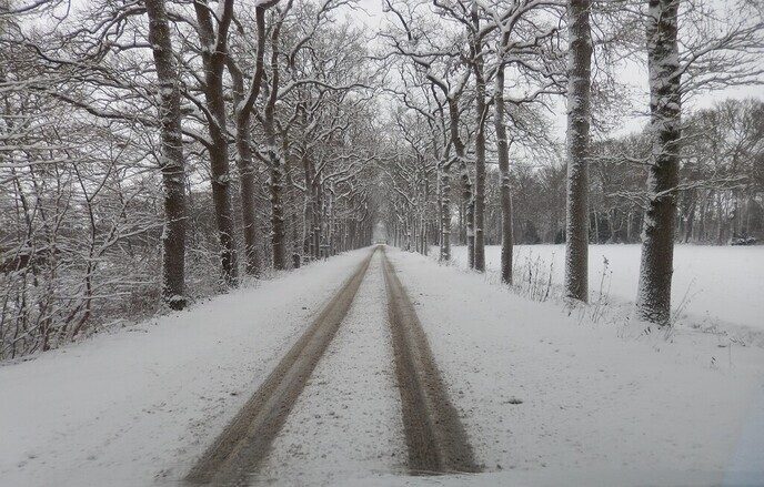 Foto’s sneeuw Dag 3 woensdag en Map 1