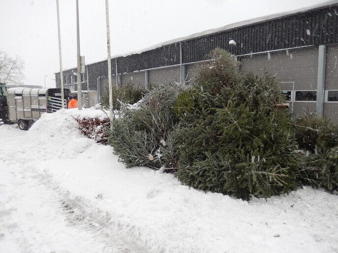 Foto’s sneeuw Dag 3 woensdag en Map 1