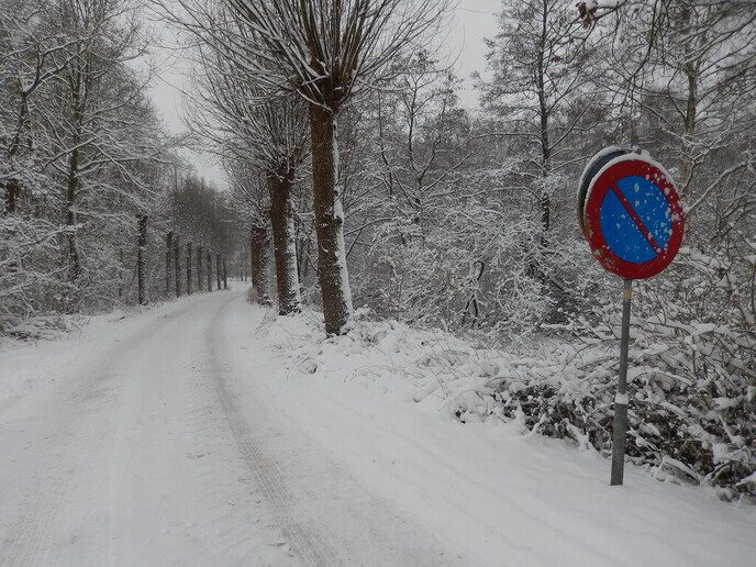 Foto’s sneeuw Dag 3 woensdag en Map 1