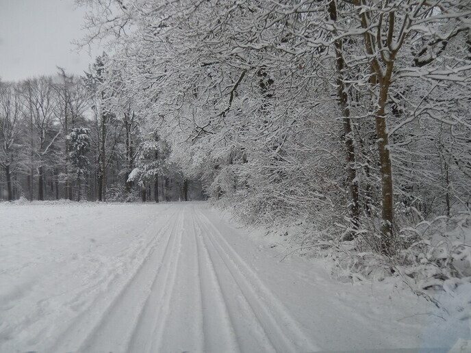 Foto’s sneeuw Dag 3 woensdag en Map 1