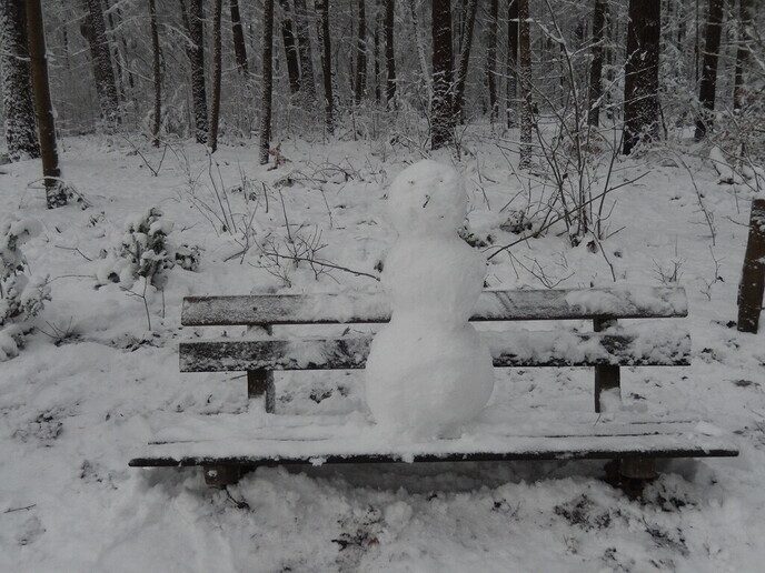Foto’s sneeuw Dag 3 woensdag en Map 1