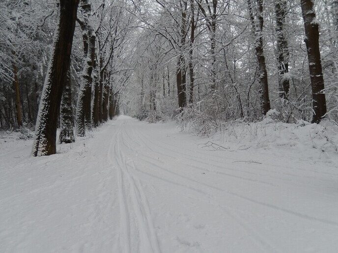 Foto’s sneeuw Dag 3 woensdag en Map 1