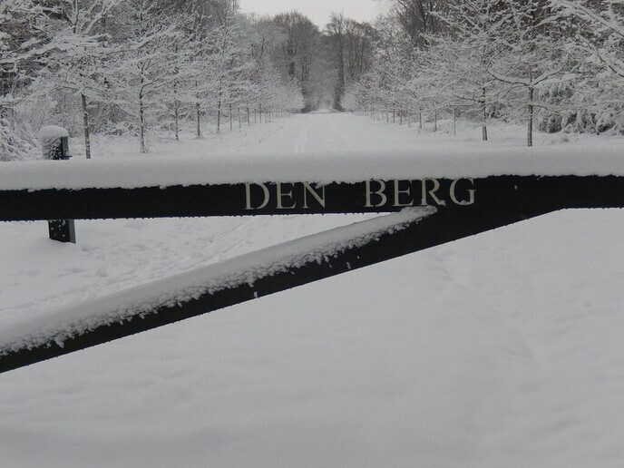 Foto’s sneeuw Dag 3 woensdag en Map 1