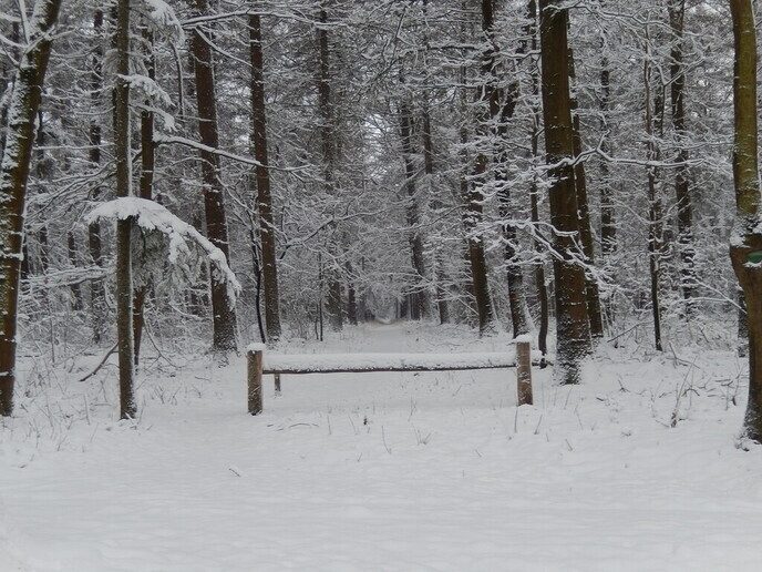 Foto’s sneeuw Dag 3 woensdag en Map 1