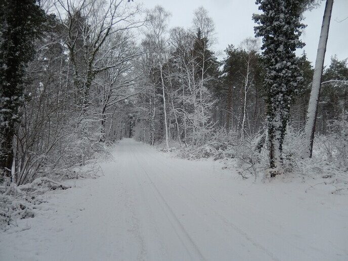 Foto’s sneeuw Dag 3 woensdag en Map 1