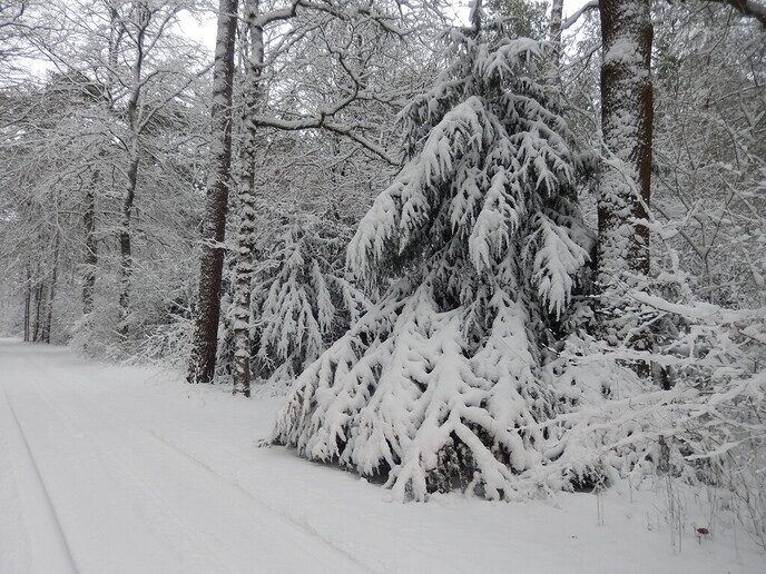 Foto’s sneeuw Dag 3 woensdag en Map 1