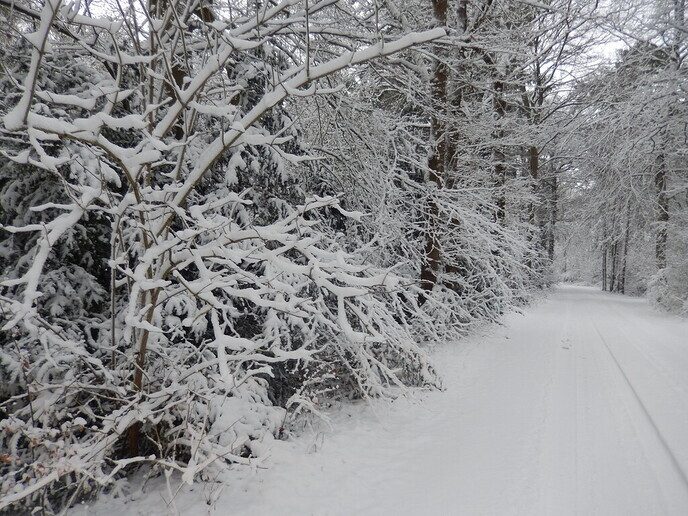 Foto’s sneeuw Dag 3 woensdag en Map 1