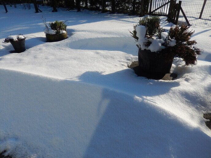Foto’s sneeuw: Dag 4 donderdag en Map 1 - Foto: Ingezonden foto